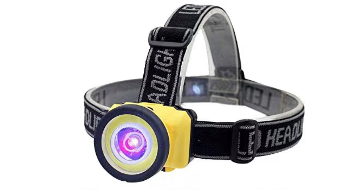 Black light LED head lamp