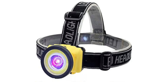 Black light LED head lamp