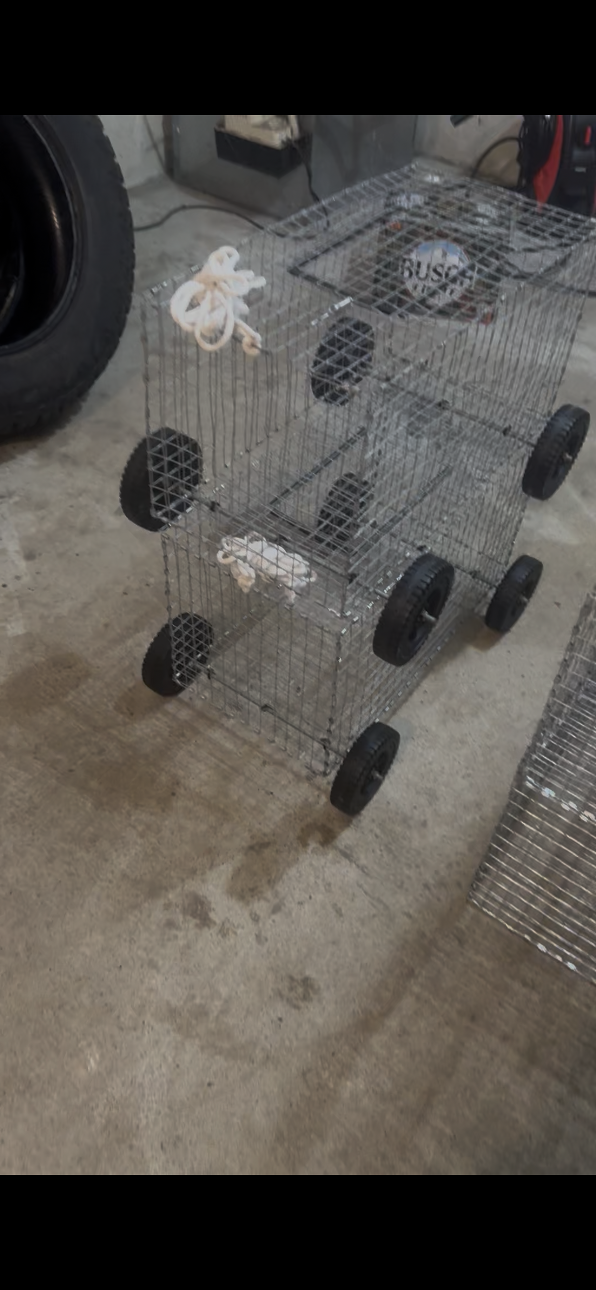 Edys Cat Cages small